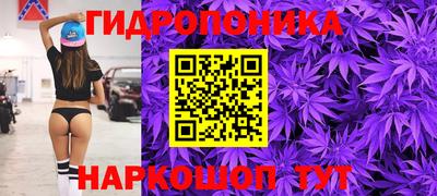 стаф Свободный