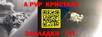 стаф Свободный