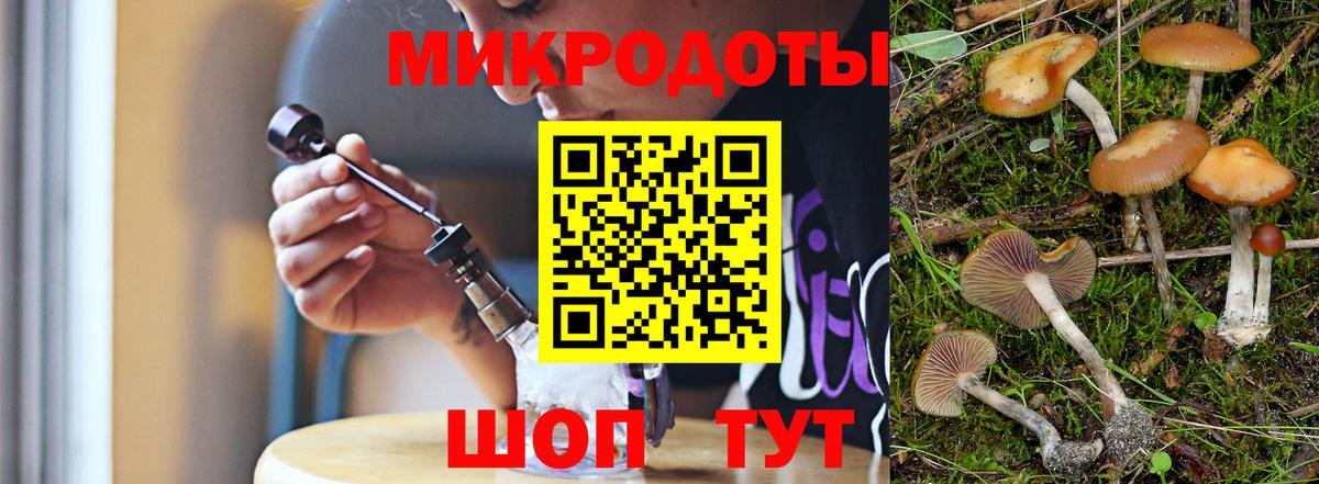 Галлюциногенные грибы MAGIC MUSHROOMS  Вход с VPN  Новороссийск 