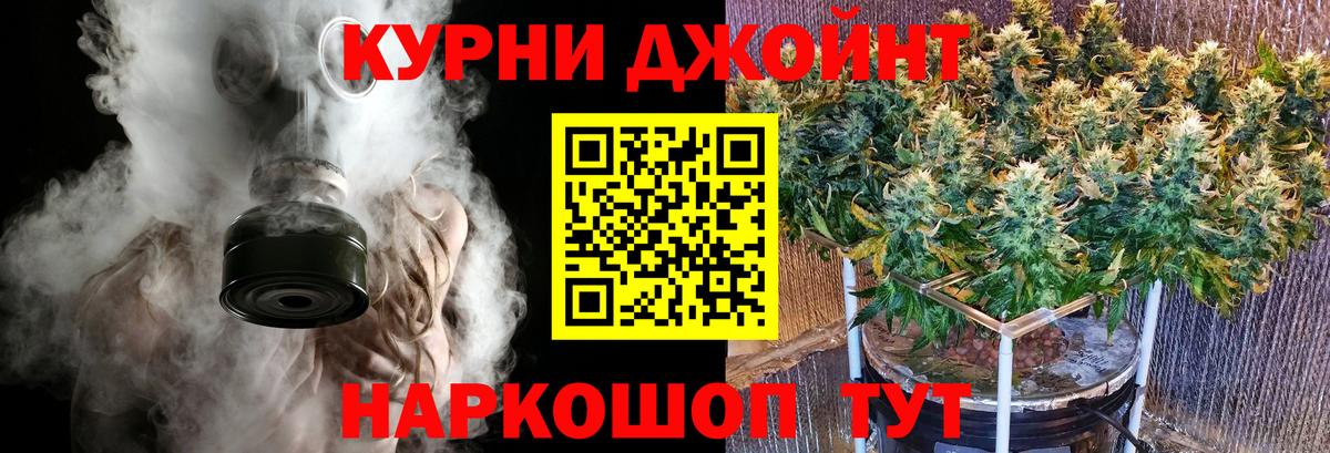 Бошки марихуана OG Kush Новороссийск